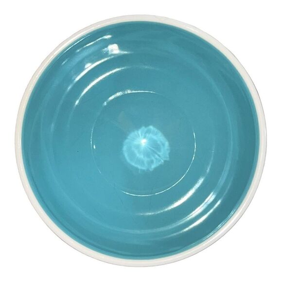 Rae Dunn Artisan Collection EAT Light Blue Interior Cereal Soup Bowl EUC - Picture 3 of 4